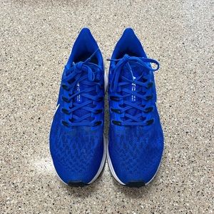 Nike Zoom Pegasus Shoes